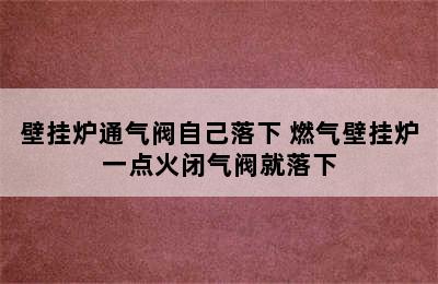 壁挂炉通气阀自己落下 燃气壁挂炉一点火闭气阀就落下